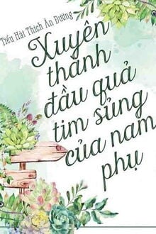 Xuyên Thành Quả Tim Nhỏ Của Nam Phụ