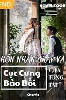 Hôn Nhân Chắp Vá Cục Cưng Bảo Bối Của Tổng Tài