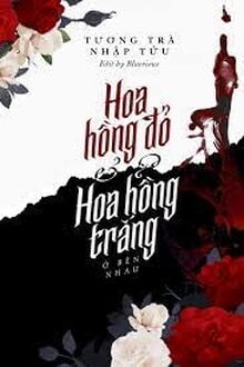 Hoa Hồng Đỏ Và Hoa Hồng Trắng Ở Bên Nhau