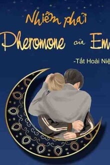 Nhiễm Phải Pheromone Của Em