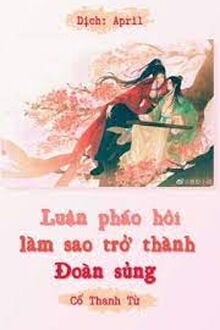 Luận Pháo Hôi Làm Sao Trở Thành Đoàn Sủng