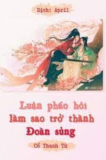 Luận Pháo Hôi Làm Sao Trở Thành Đoàn Sủng