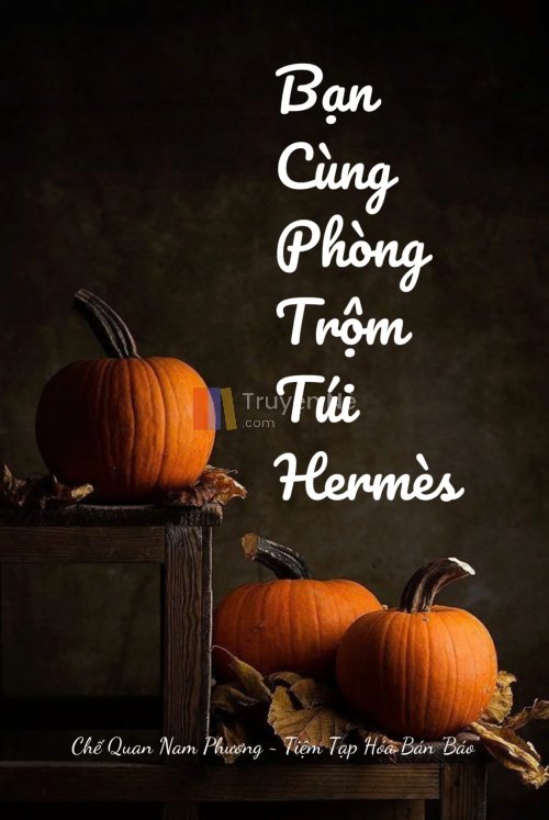 BẠN CÙNG PHÒNG TRỘM TÚI HERMES