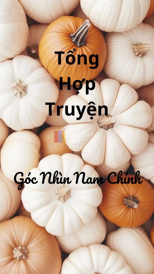 TỔNG HỢP TRUYỆN: GÓC NHÌN NAM CHÍNH