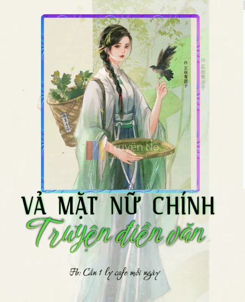 VẢ MẶT NỮ CHÍNH TRUYỆN ĐIỀN VĂN