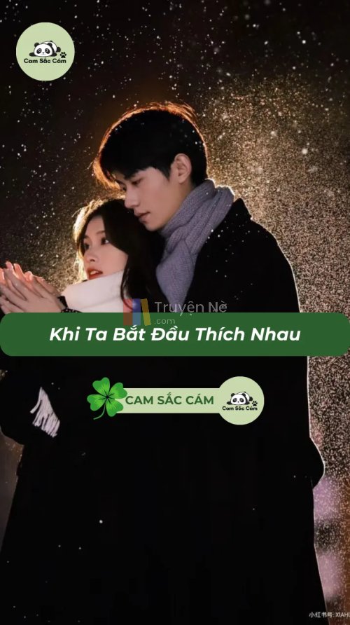 Khi Ta Bắt Đầu Thích Nhau