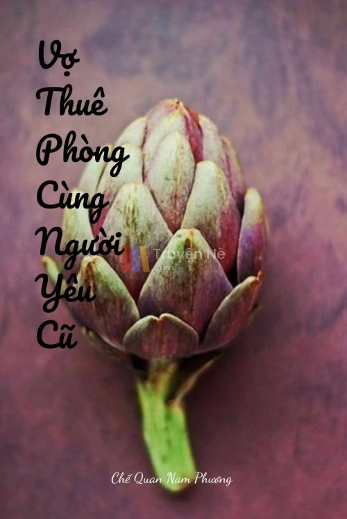 VỢ THUÊ PHÒNG CÙNG NGƯỜI YÊU CŨ