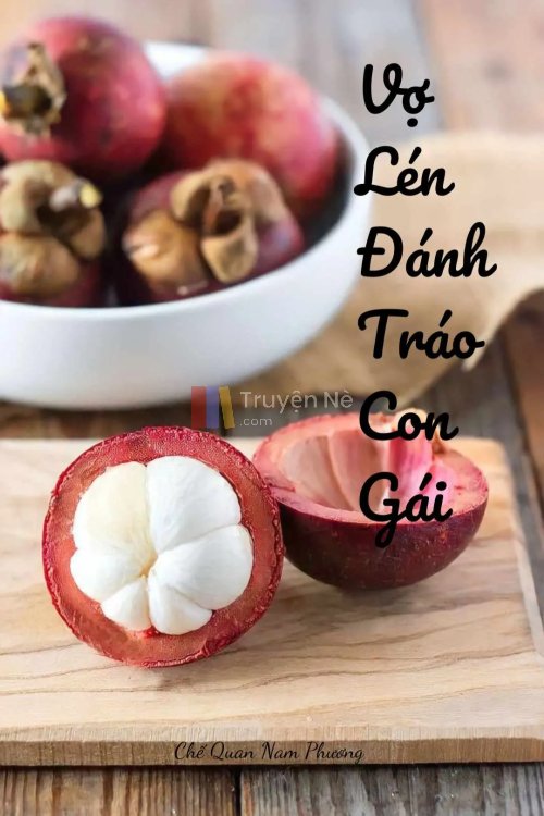 VỢ LÉN ĐÁNH TRÁO CON GÁI