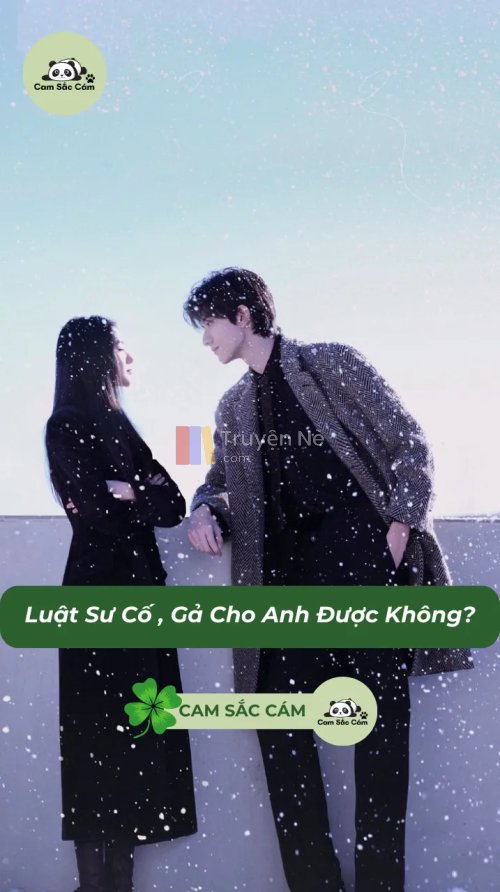 Luật Sư Cố , Gả Cho Anh Được Không?