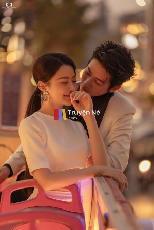 Con Bài Đặt Cược