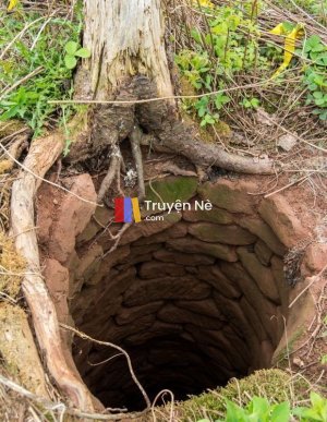 Bí Mật Trong Giếng Cạn