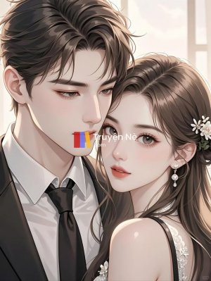 Mèo Biến Mất và Những Bí Mật Đằng Sau