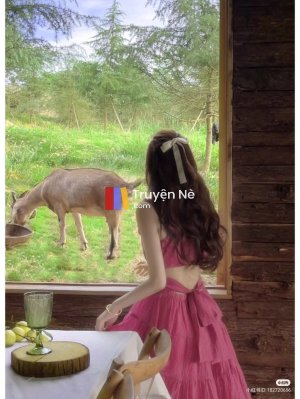 Chuyện Chưa Kể Về Đứa Trẻ Chưa Được Sinh Ra