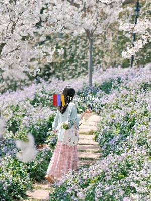 Mối Tình Đầu và Vụ Ly Hôn Đầy Nước Mắt
