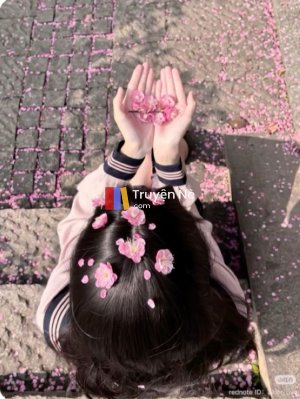 Hệ Thống Tranh Đấu Nữ Giới Và Cuộc Chiến Kinh Điển