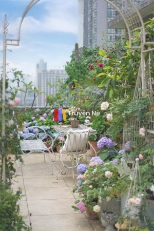 Sát Thủ Bán Đậu Hũ và Tiểu Á Khẩu Bí Ẩn