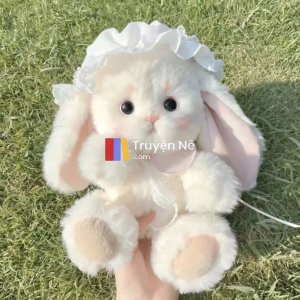 Trọng Sinh Báo Thù Vì Một Con Thú Nhồi Bông