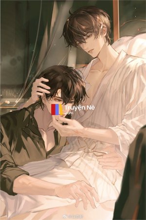 Mèo Về Từ Bóng Tối